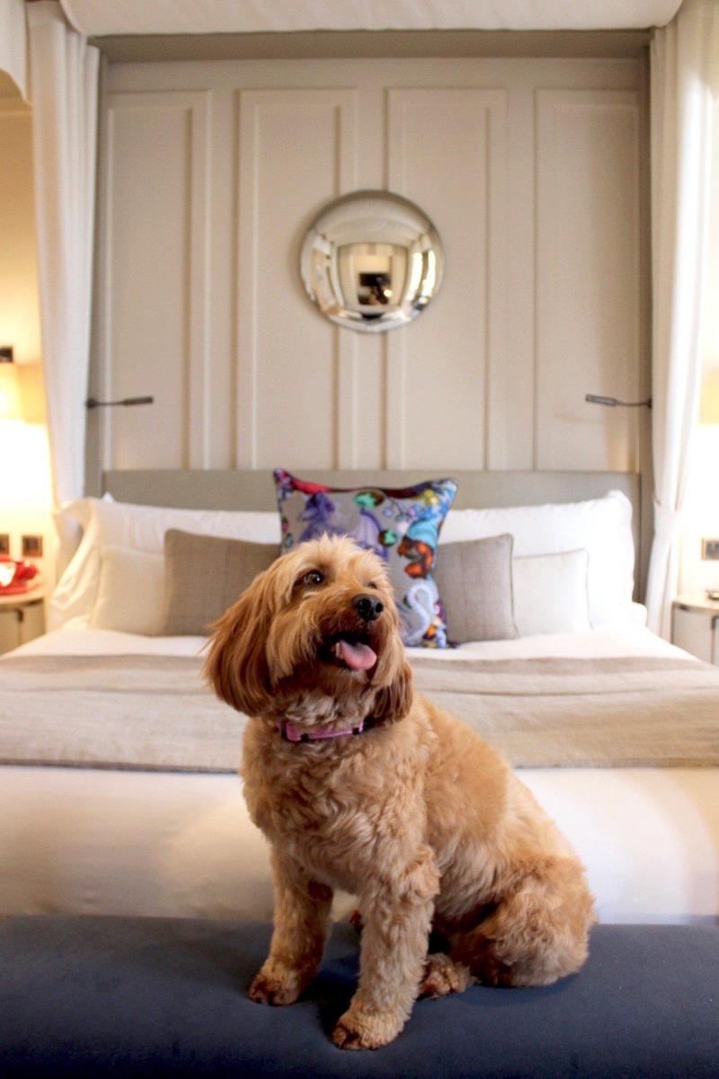 Kimpton London Fitzroy