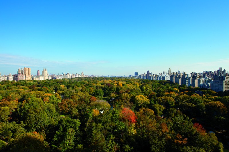 The Ritz-Carlton New York, Central Park